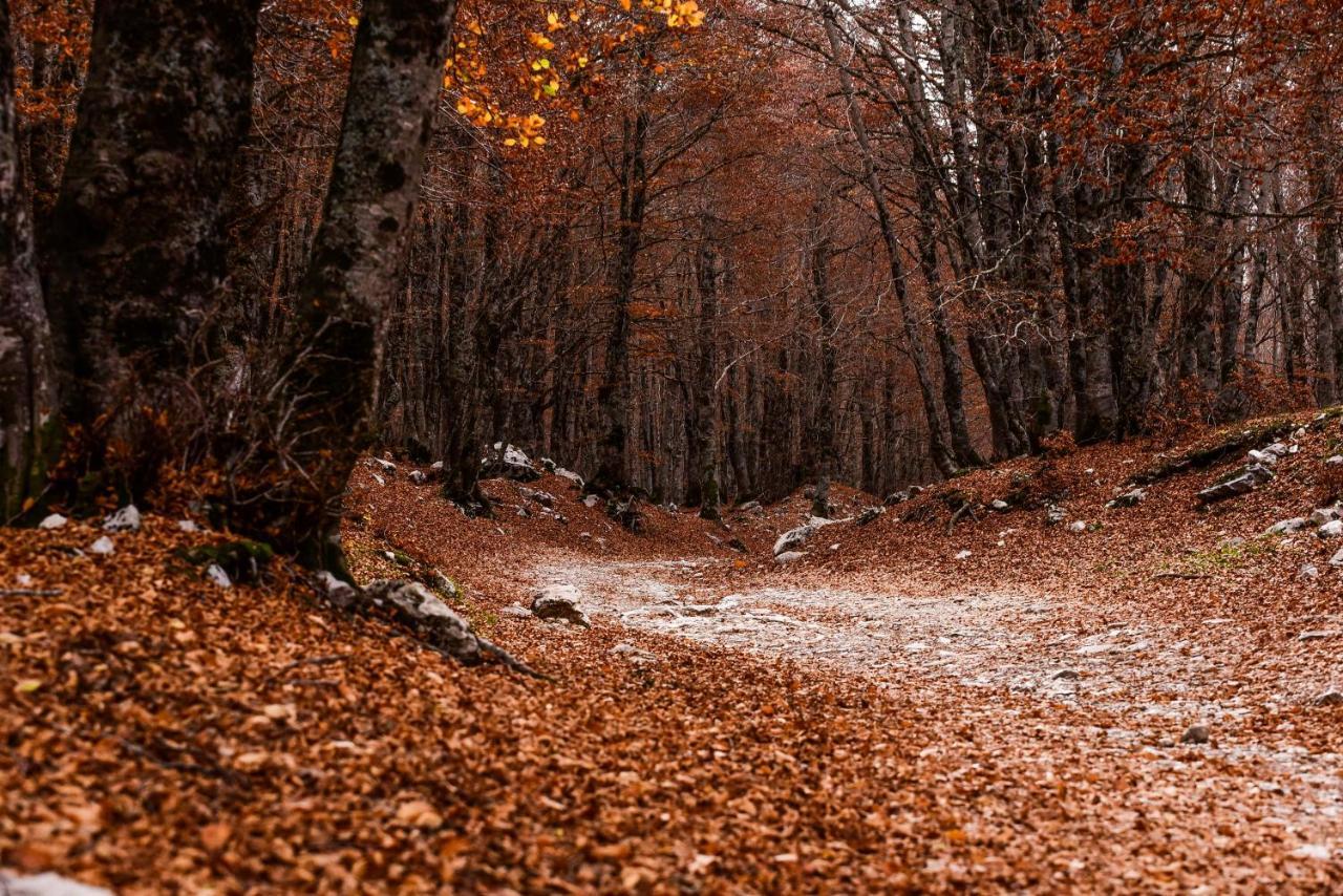 Appartamento A Campo Felice - Treeffe Collimento Εξωτερικό φωτογραφία