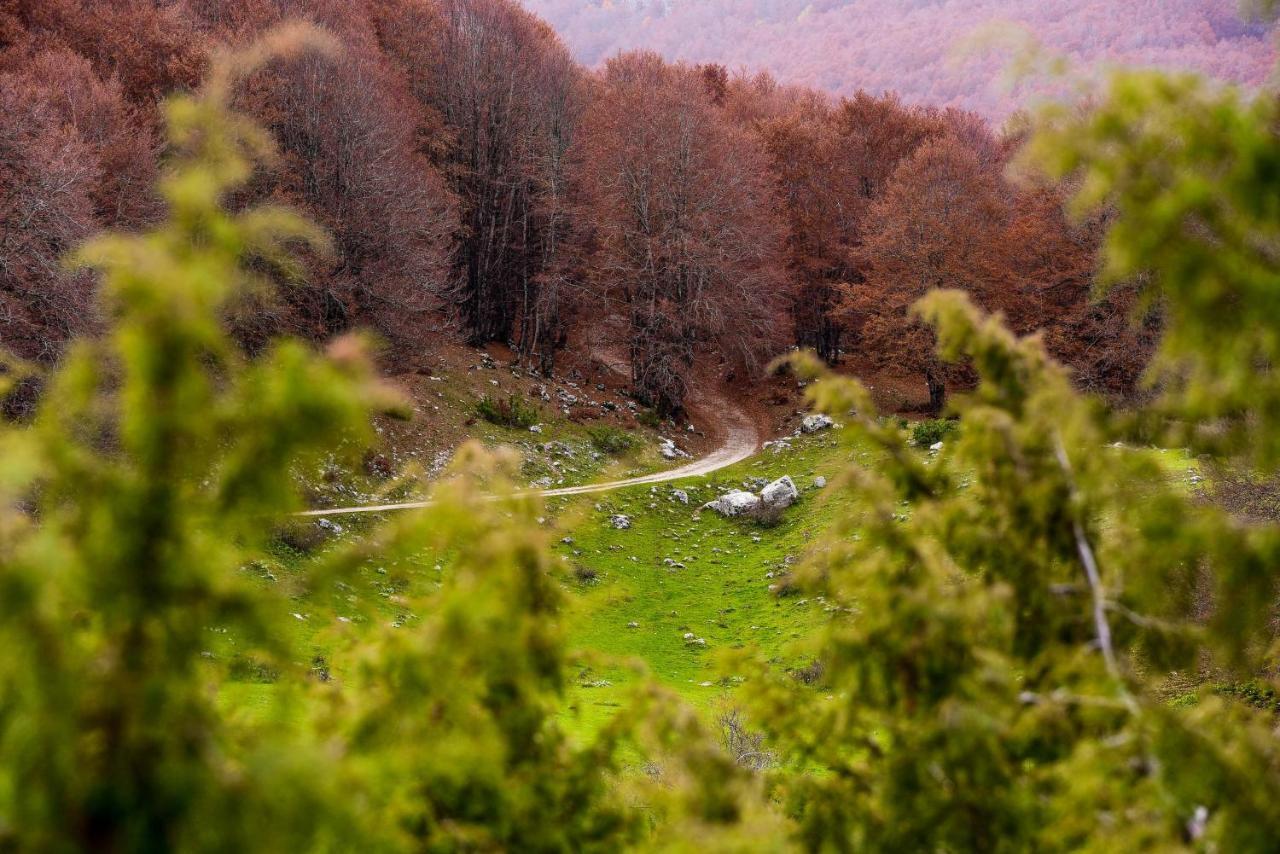 Appartamento A Campo Felice - Treeffe Collimento Εξωτερικό φωτογραφία
